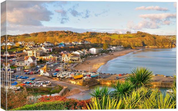 View over Saundersfoot Canvas Print by Martin Chambers