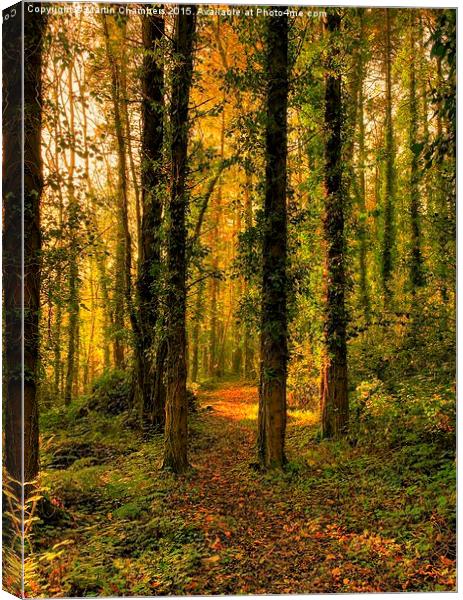   Woodland Path Canvas Print by Martin Chambers