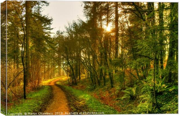 Path to the light Canvas Print by Martin Chambers