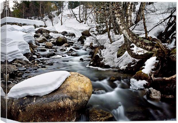 MELT WATER Canvas Print by Scott Taylor