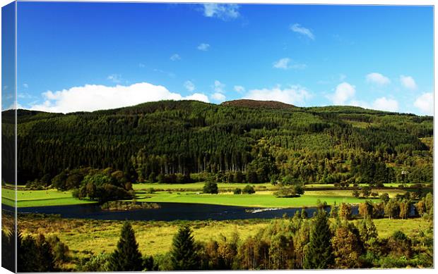 Sunny Scottish Scene Canvas Print by Sarah George