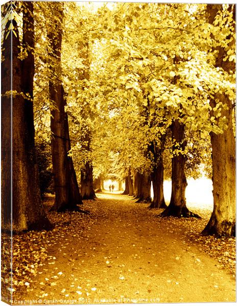 Autumn Stroll Canvas Print by Sarah George