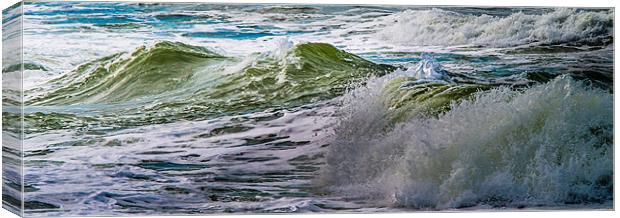 Sea waves panorama Canvas Print by Michael Goyberg