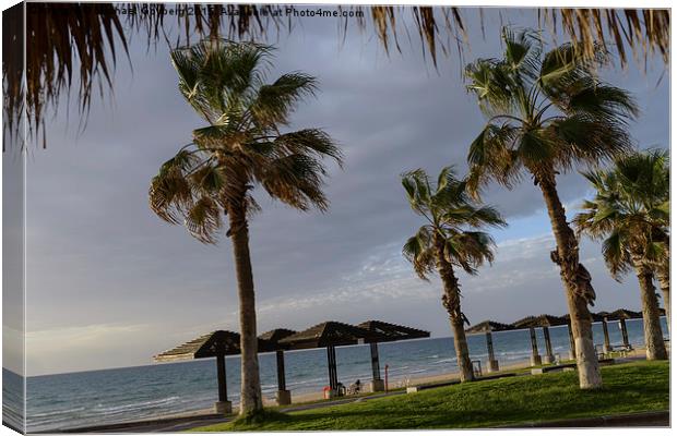 Sea breeze. Palm trees, the sea, the soft rays of  Canvas Print by Michael Goyberg