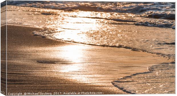 Golden Sunset Canvas Print by Michael Goyberg