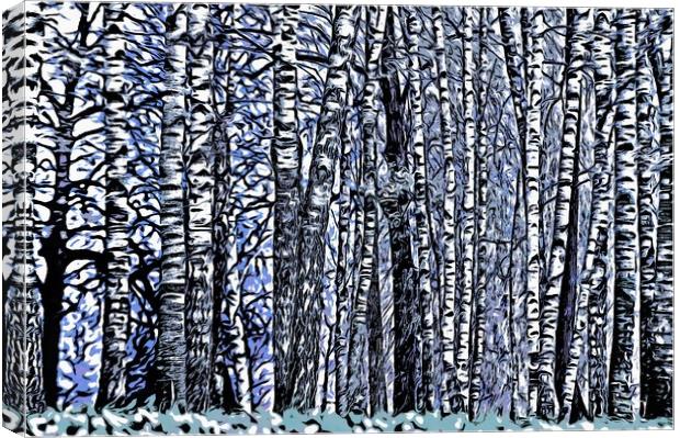 Birch Grove Canvas Print by Michael Goyberg