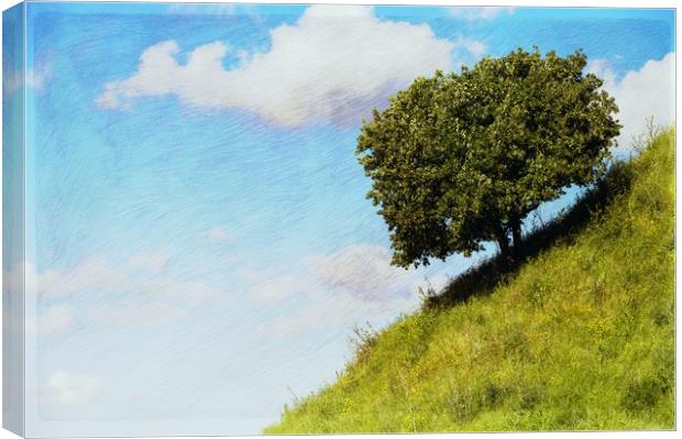 The tree on the hill (var 2) Canvas Print by Michael Goyberg
