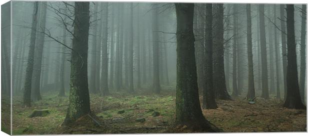 Macclesfield Forest Canvas Print by Richard Cooper
