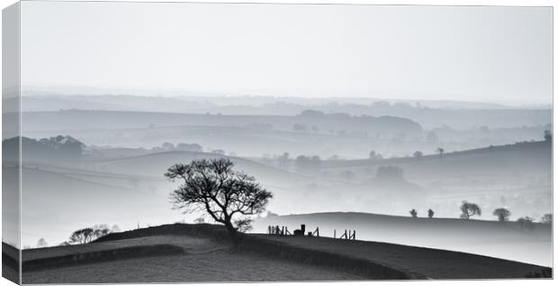 Devon hillscape in black and white Canvas Print by nigel allison