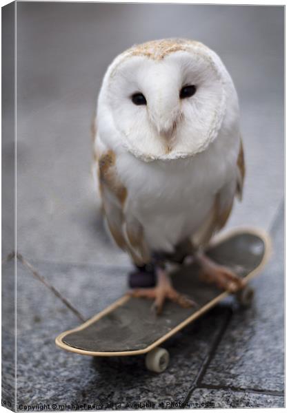 Skateboarding owl Canvas Print by michael perry