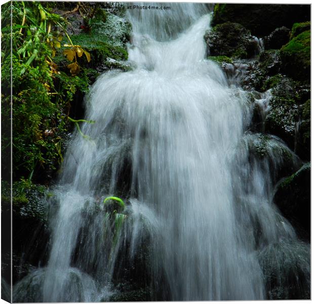 Waterfall under the Petit Bot Tearooms Canvas Print by Karen Magee