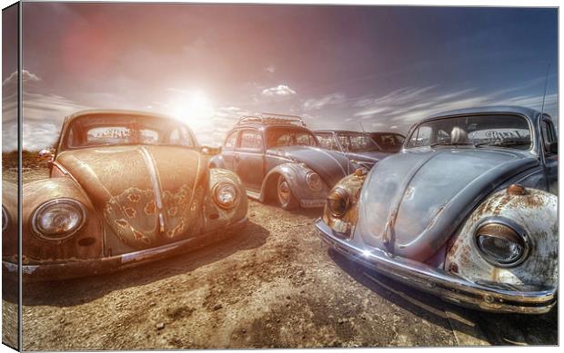 Bugs in the Sun Canvas Print by Jason Green
