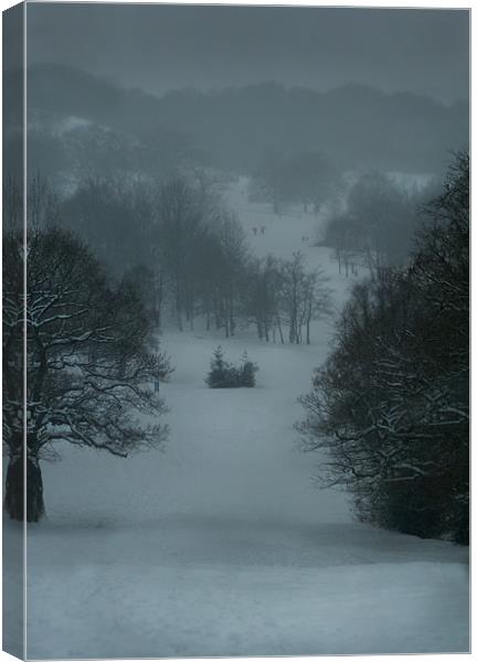 The Golfers Nightmare Canvas Print by Jason Green
