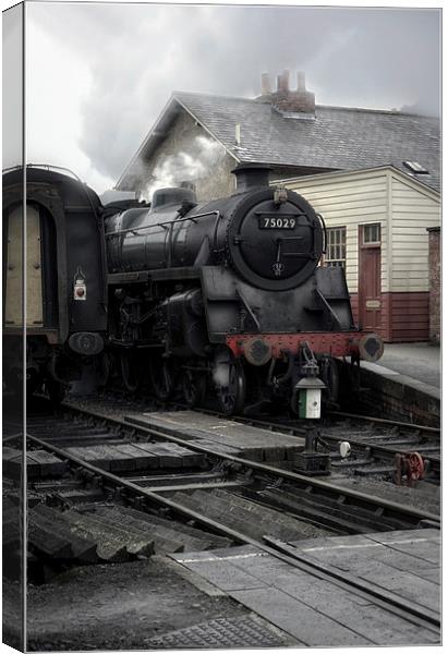 75029 Canvas Print by Jason Green