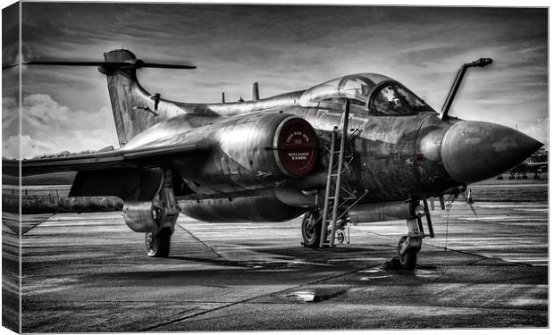 Blackburn Buccaneer Canvas Print by Jason Green