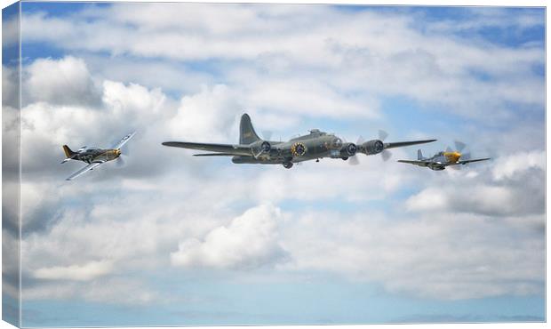  Sally B with her little friends Canvas Print by Jason Green