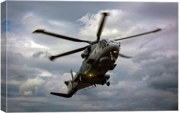  Whirlybirds Canvas Print by Jason Green