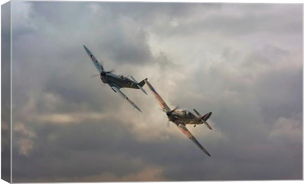 Wingman Canvas Print by Jason Green