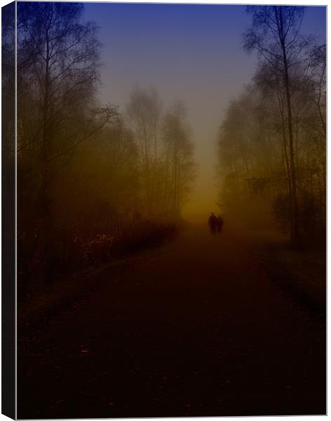 Walk towards misty life Canvas Print by Surajit Paul