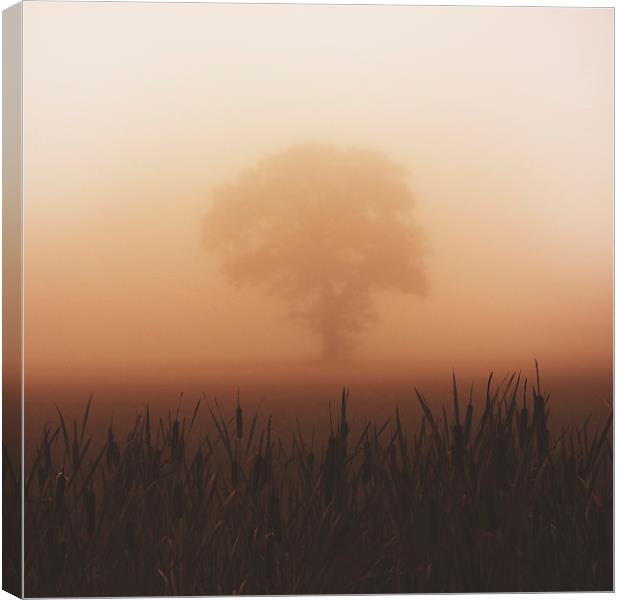  Misty Morning Canvas Print by andrew bagley