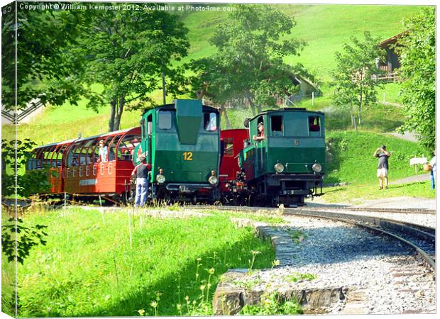 Brienz Rothorn Railway Canvas Print by William Kempster