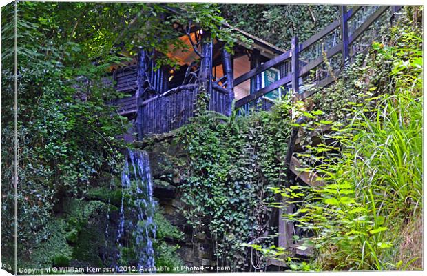 Shanklin Chine, Isle Of Wight Canvas Print by William Kempster