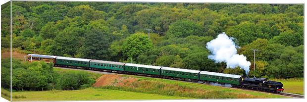 Swanage Railway Steam Gala 2013 Canvas Print by William Kempster