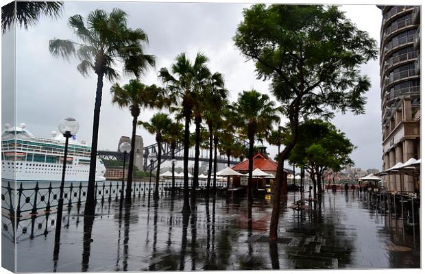 Wet Sidney! Canvas Print by sumit siddharth