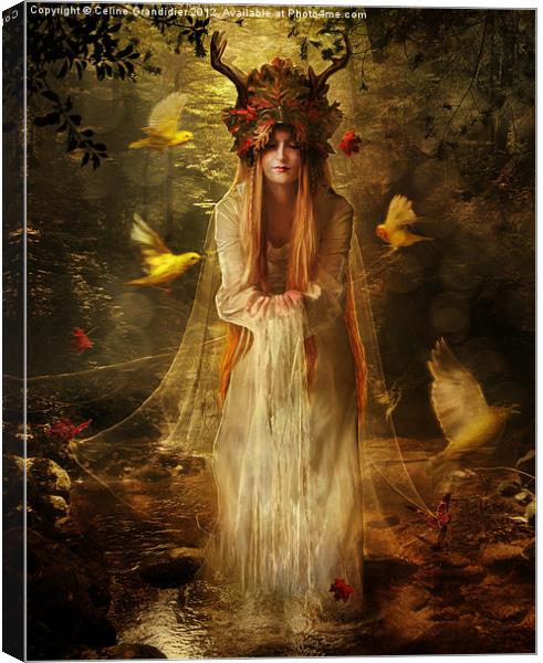 Lady of the Forest Canvas Print by Celine B.