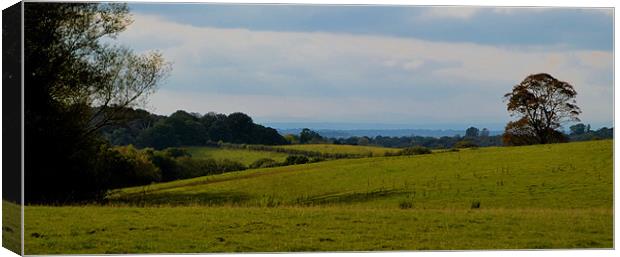 Cheshire Plains Canvas Print by Andy Freeman