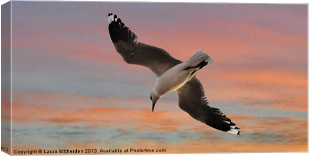 Sunset Seagull Canvas Print by Laura Witherden