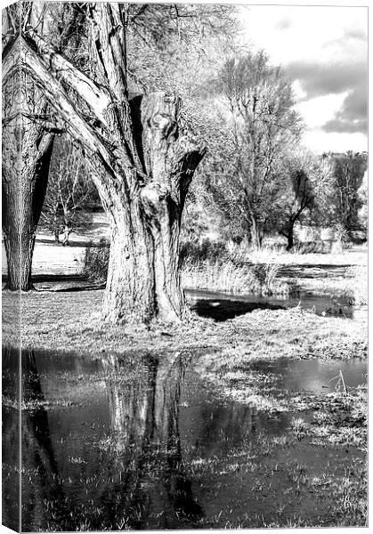 Monochrome Reflection Canvas Print by Laura Witherden