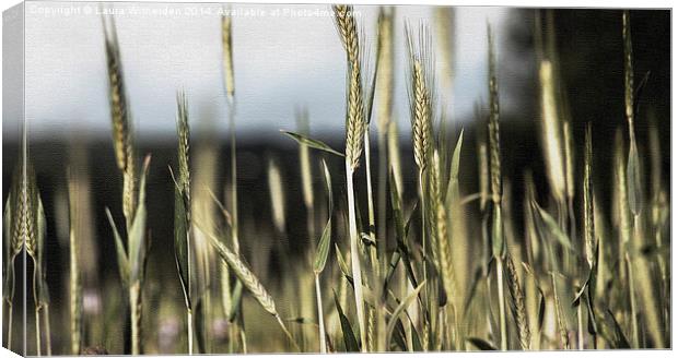 Wheat field canvas Canvas Print by Laura Witherden