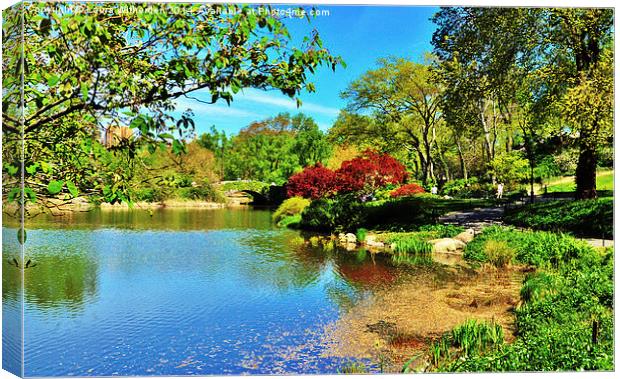  Central Park Canvas Print by Laura Witherden
