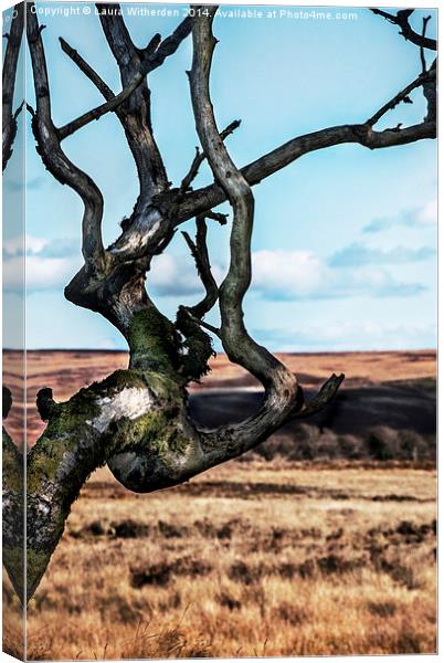  Autumn on Exmoor Canvas Print by Laura Witherden