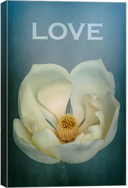 LOVE Magnolia Canvas Print by Abdul Kadir Audah