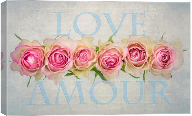 Love Amour Canvas Print by Abdul Kadir Audah