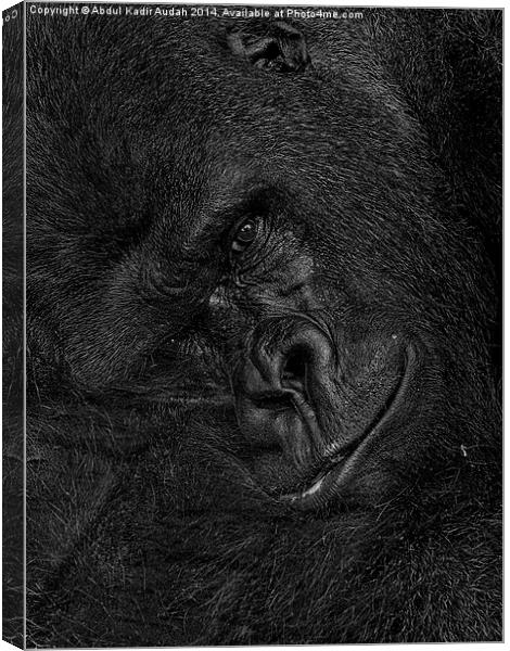 The Smiling Gorilla Canvas Print by Abdul Kadir Audah