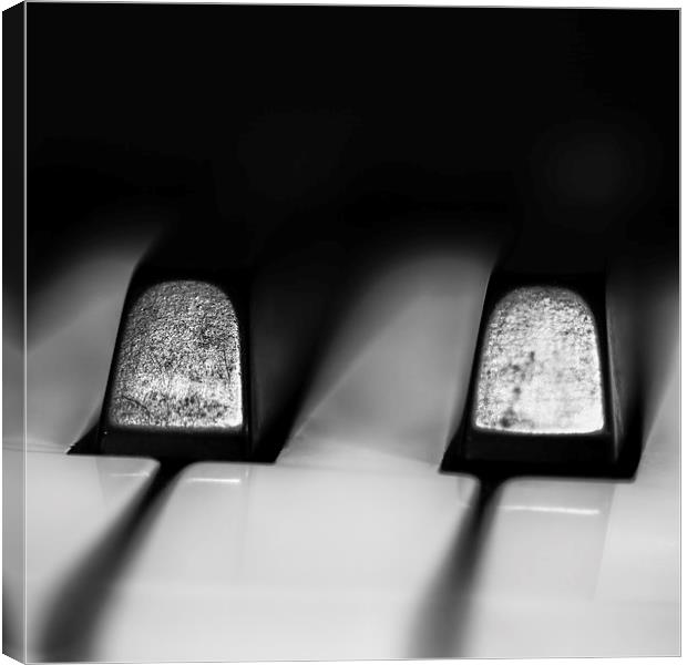 Piano Keys Canvas Print by Malcolm Smith