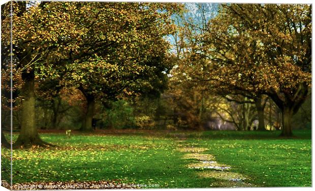 Loving autumn up close 2 Canvas Print by stewart oakes