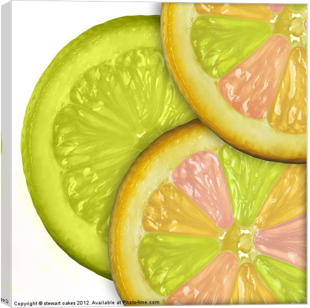 life is a lemon collection 5 Canvas Print by stewart oakes
