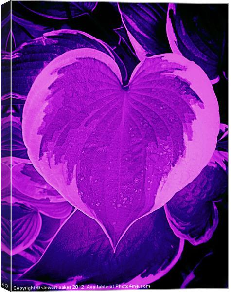 Love collection 7 Canvas Print by stewart oakes
