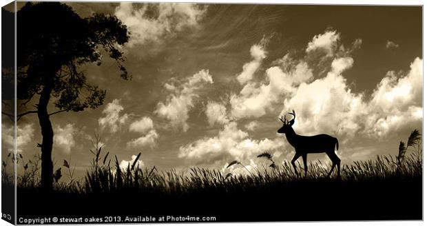 Photoshop collection 1 - Looking for shelter Canvas Print by stewart oakes