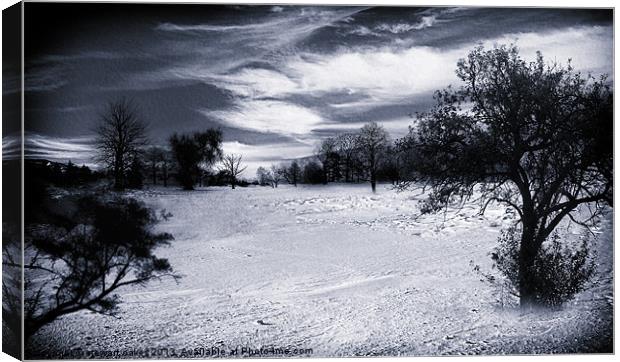 Winter wonderland Canvas Print by stewart oakes