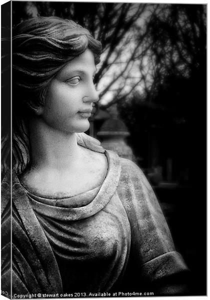 statues collection 23 Canvas Print by stewart oakes