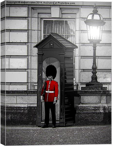Queens Guard Canvas Print by stewart oakes