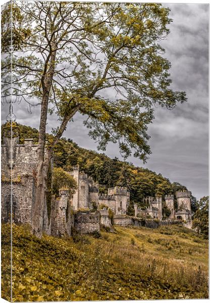 Gwrych Castle Collection 6 Canvas Print by stewart oakes