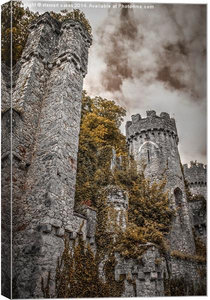 Gwrych Castle Collection 17 Canvas Print by stewart oakes
