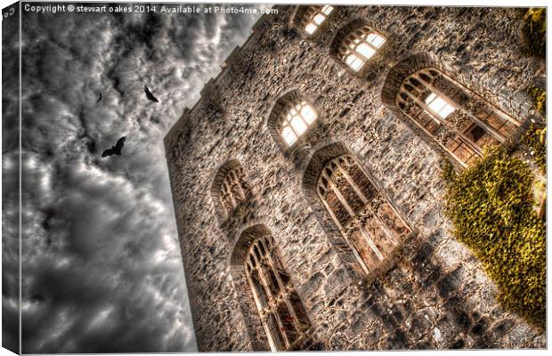 Gwrych Castle Collection 25 Canvas Print by stewart oakes