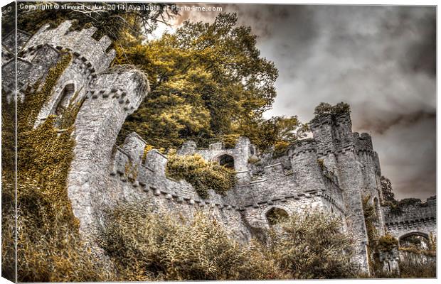Gwrych Castle Collection 30 Canvas Print by stewart oakes